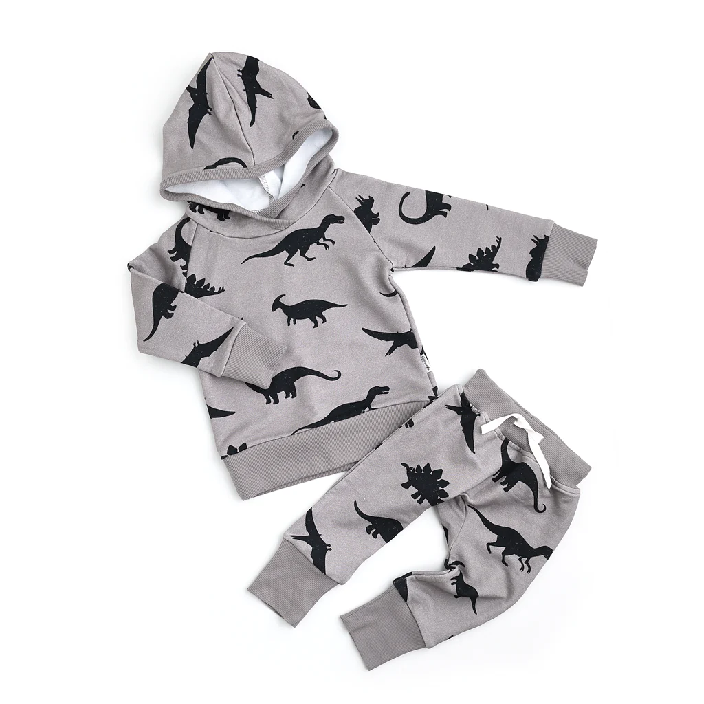 Kids Hoodie and Sweatpants Set